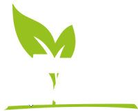  Stemma Qualiano Multiservizi S.r.l.